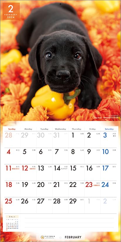 Amazon.co.jp: PICTWAN(ピクトワン) 2024年版カレンダー 【L版